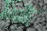 Malachite After Barite on Lustrous Botryoidal Goethite - Africa #338065-1